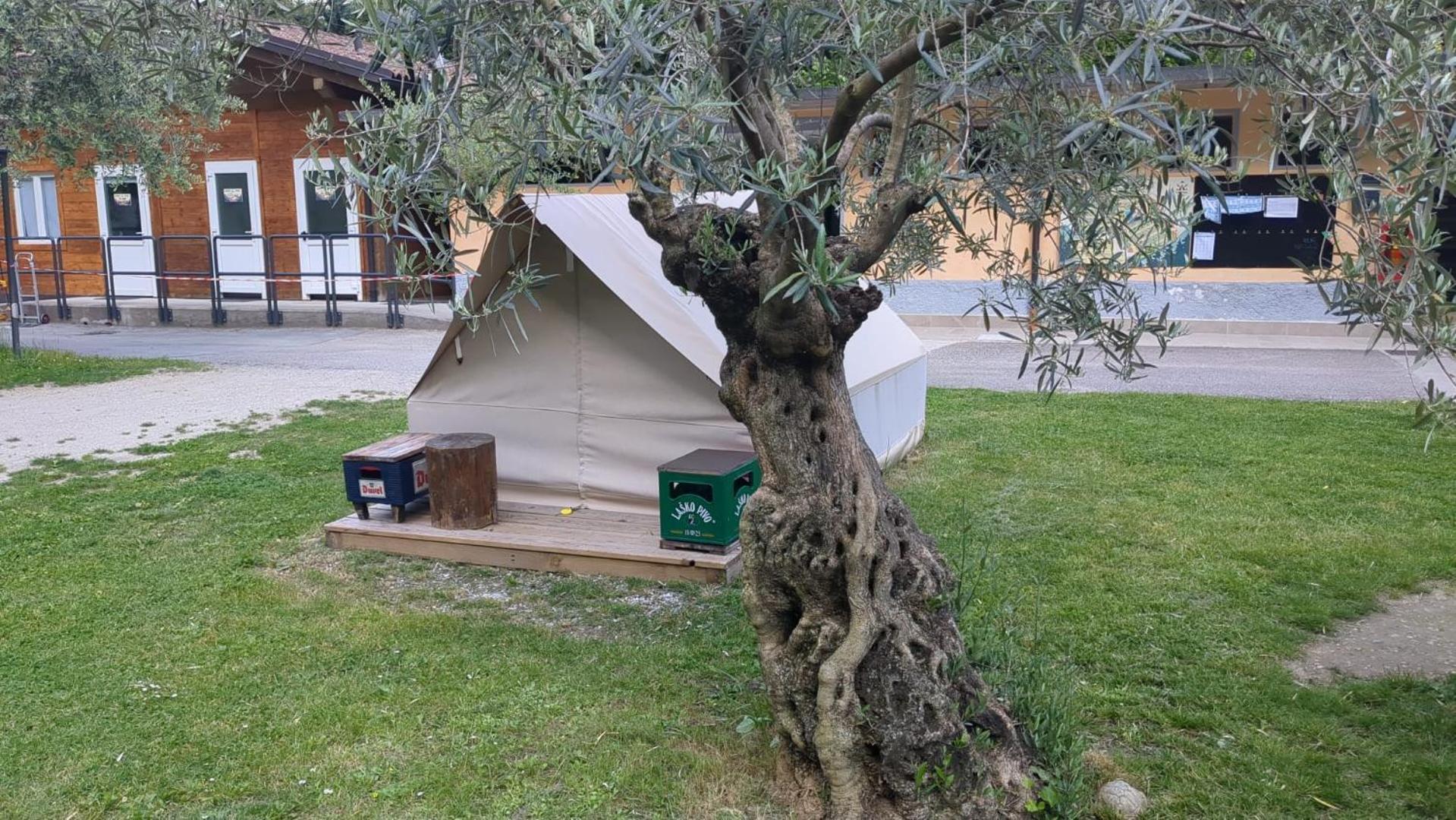 Camping Daino Ξενοδοχείο Pietramurata Εξωτερικό φωτογραφία